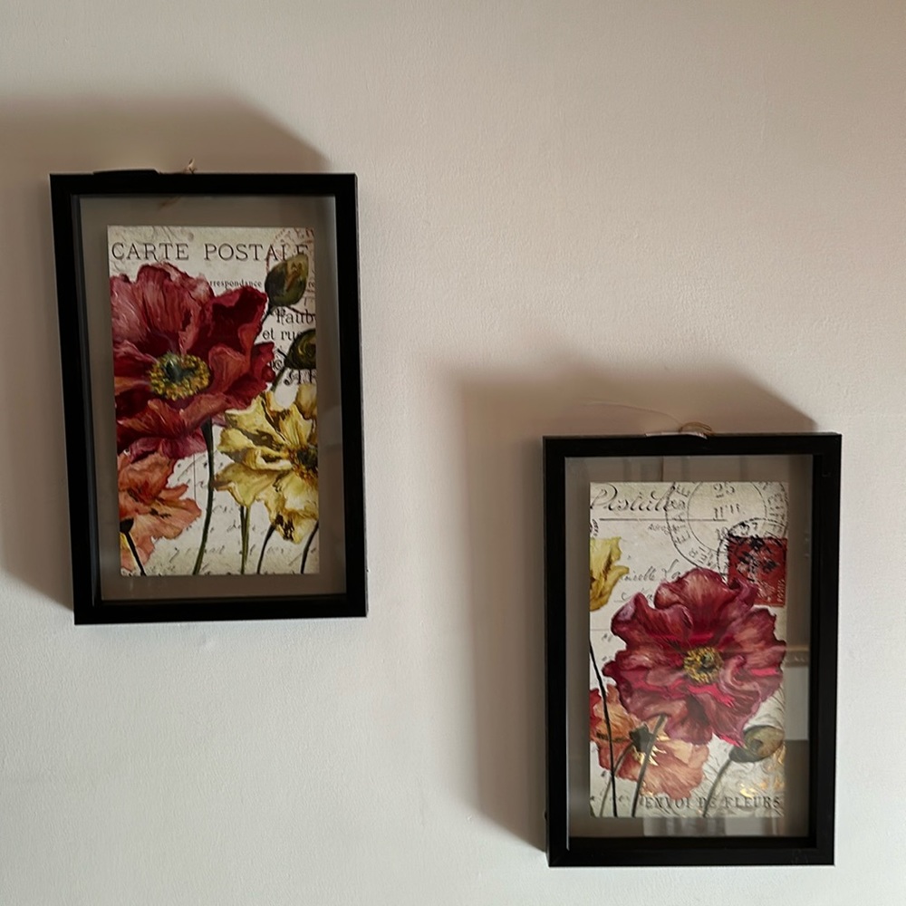 Set of 18x12 Poppy Pictures